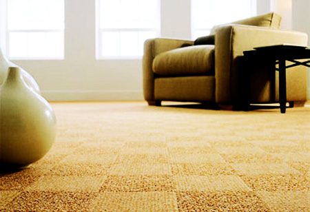 Raleigh Carpet Cleaning Elite