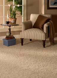 raleigh elite carpet cleaning 
